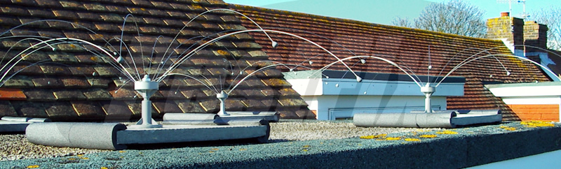 Daddi Long Legs on Flat Roof