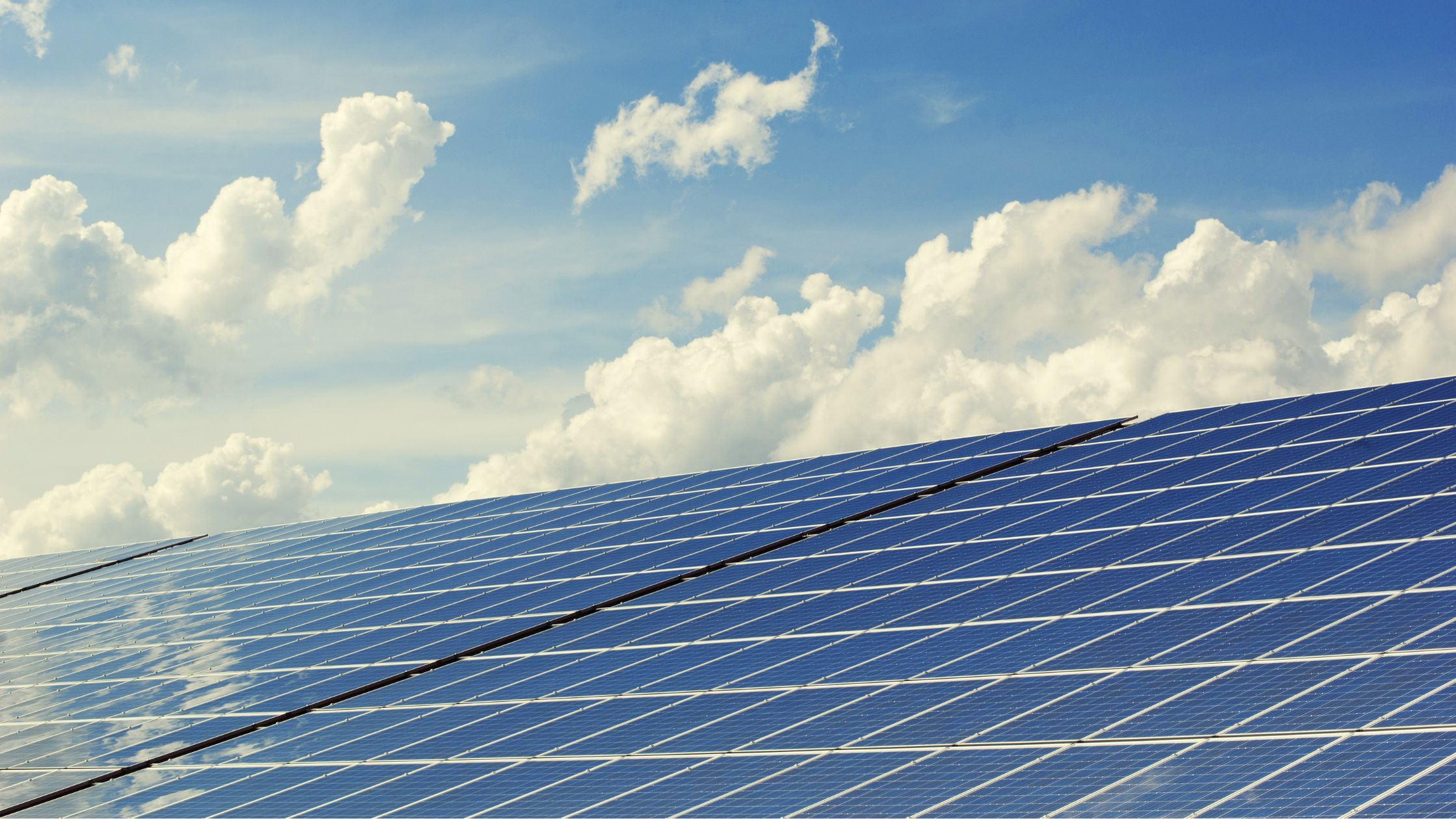 Tackling Pigeons on a Solar Panel Installation