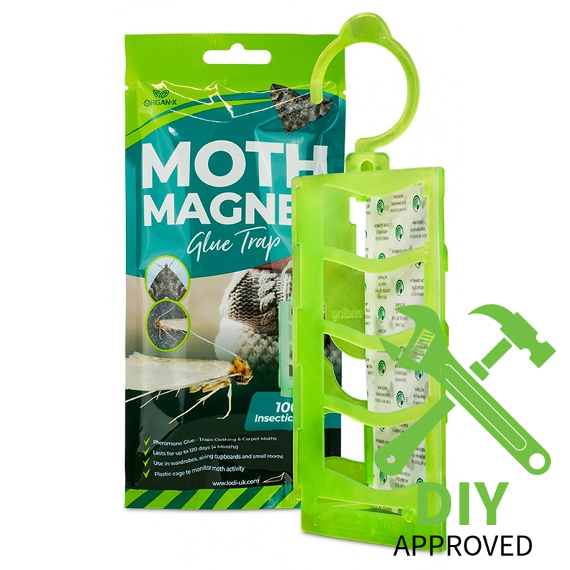 Organ-X Moth Magnet