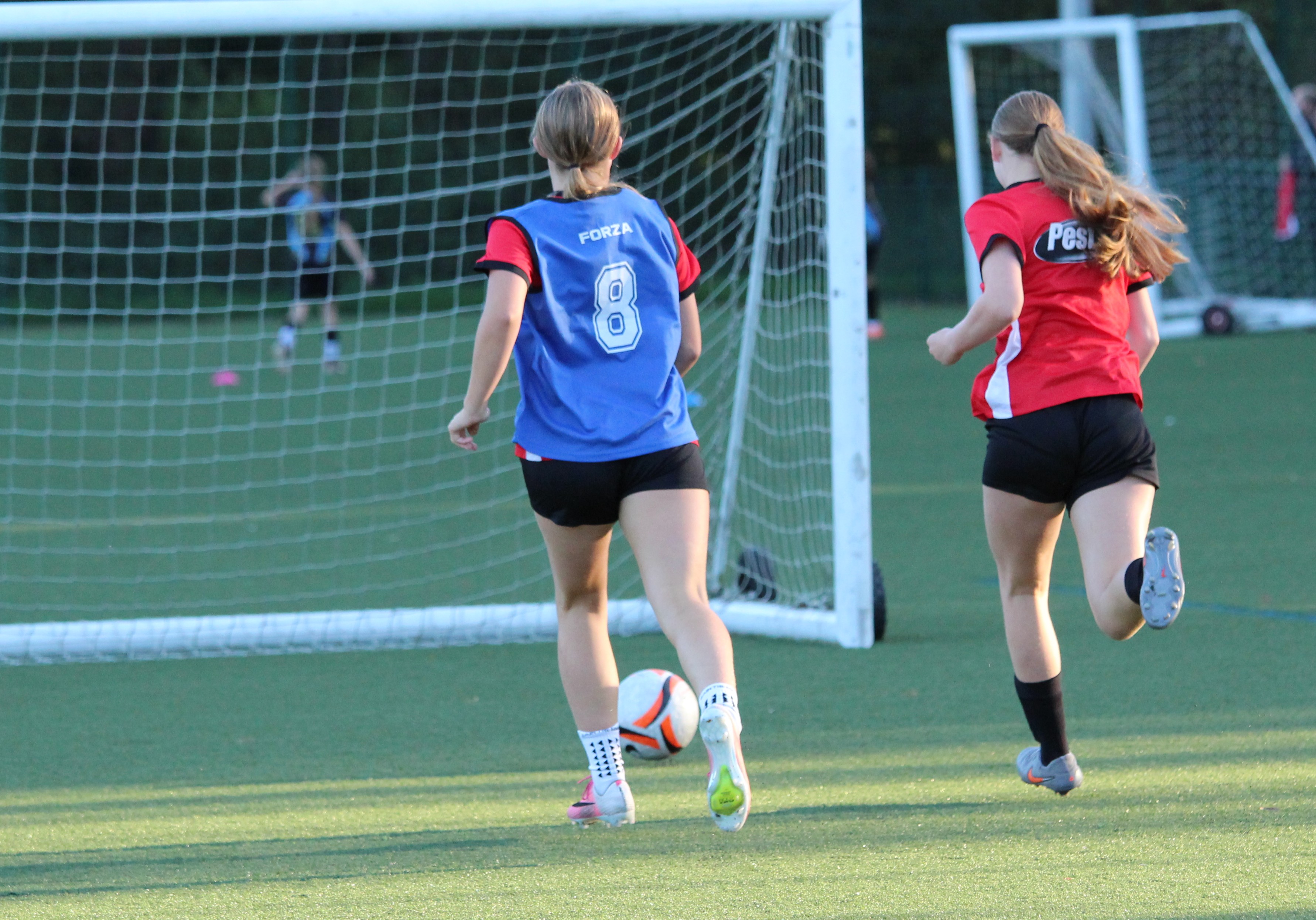 Lewes FC Select