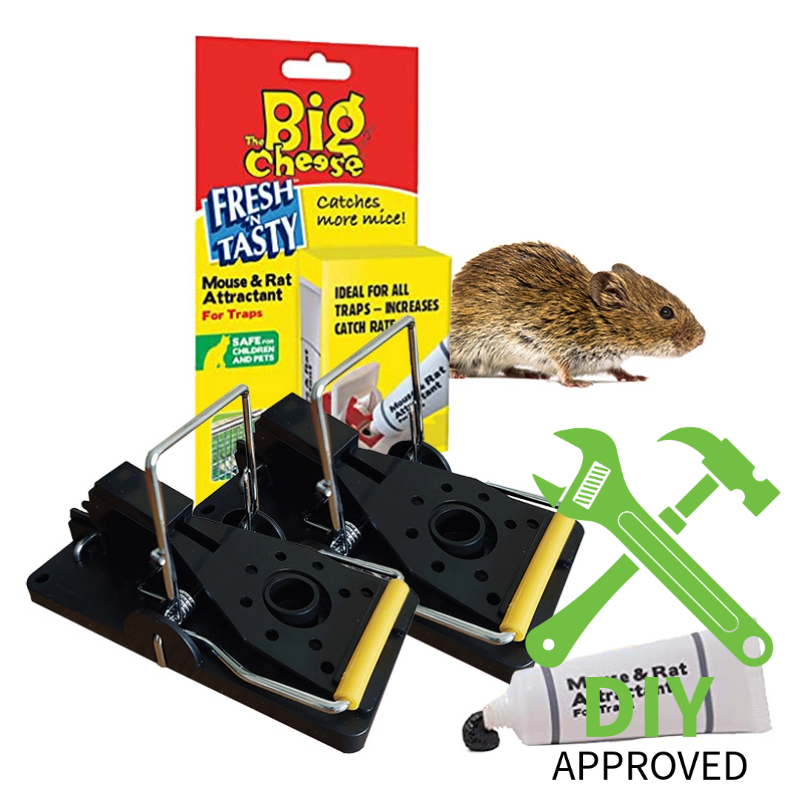 Professional Mouse Traps with Lure