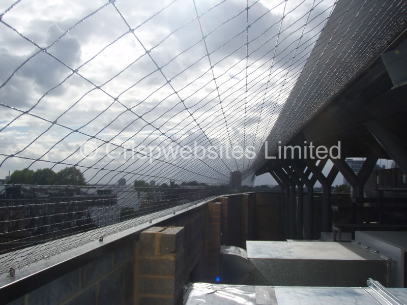 Bird Netting for Pigeons 50mm Black