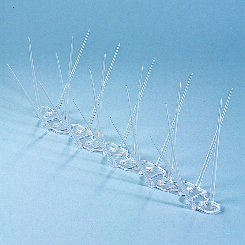 Spiking Wire Deterrent Sbpe Solutions