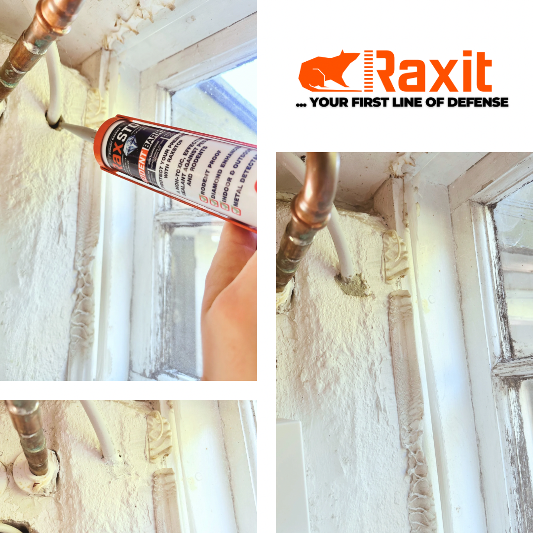 RaxStop Rodent Sealant