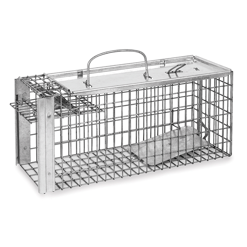 Rat Cage Trap - The Big Cheese