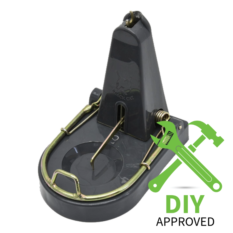 Black Cat Rat Traps