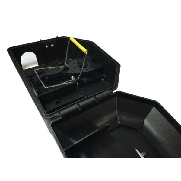 Mouse trap 2025 box