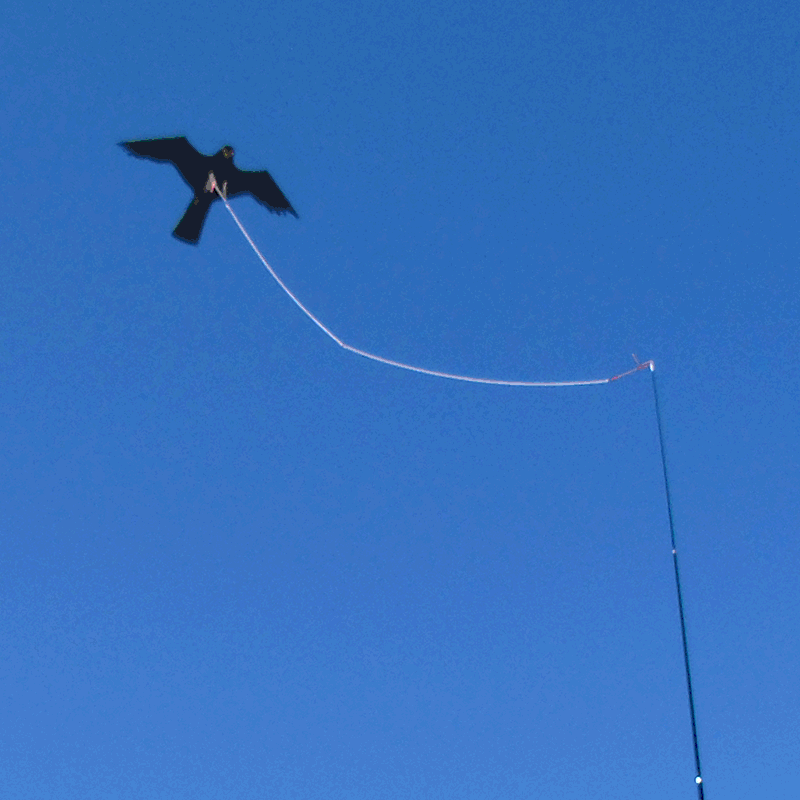 Line Rig Tether For Bird scarer kites 