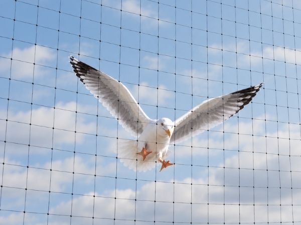Bird netting product packaging