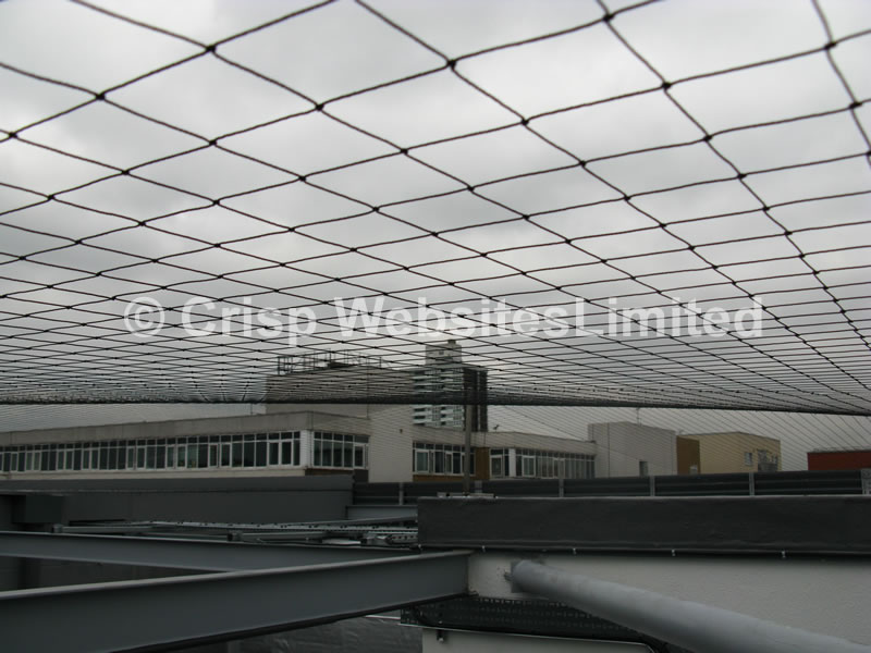 Bird Netting for Pigeons 50mm Black