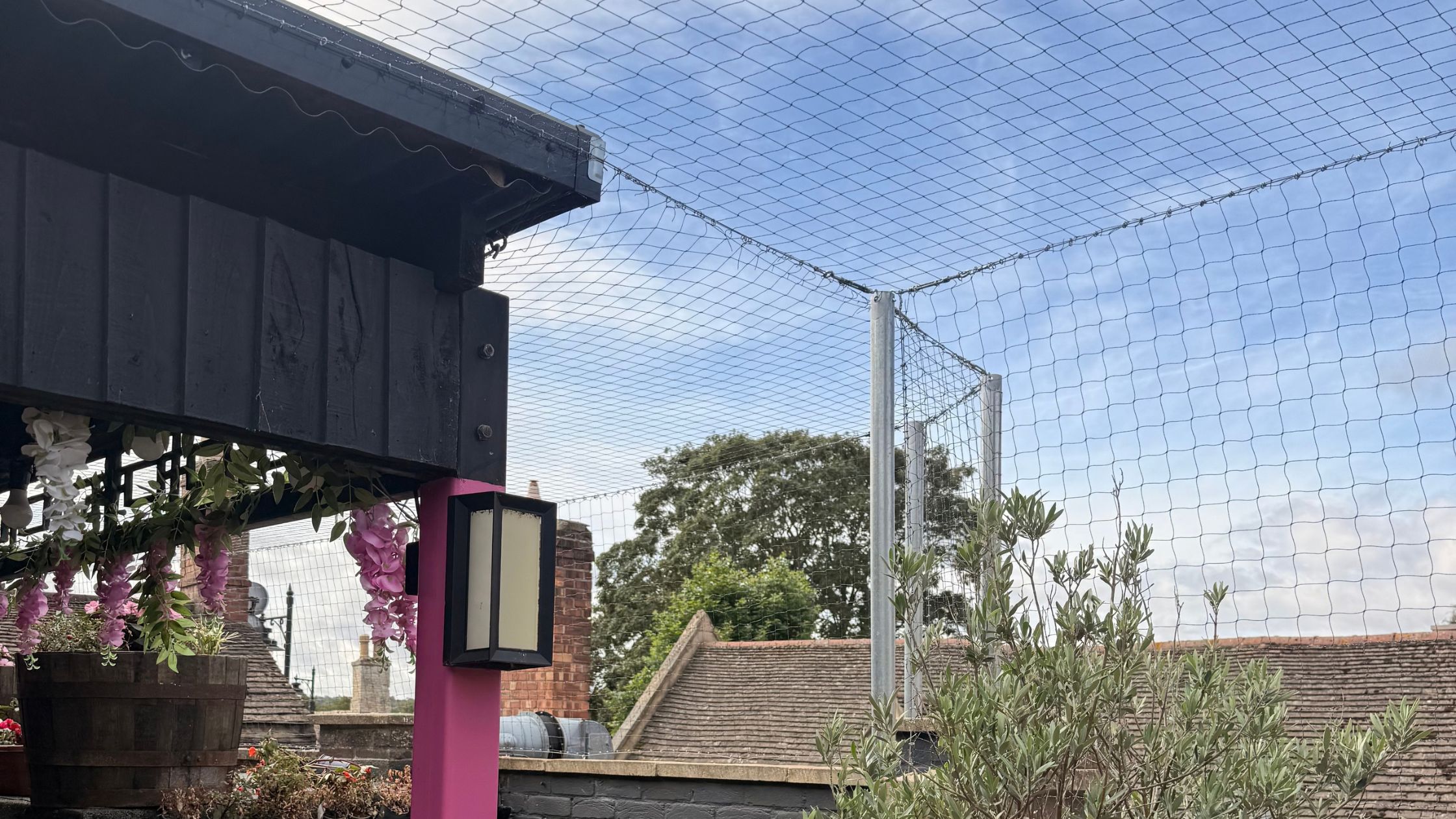 Bird netting installation case study