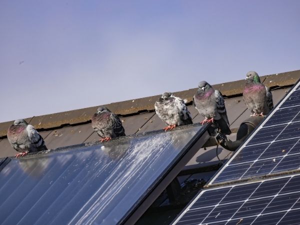Solar panel mesh product packaging