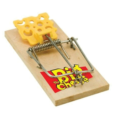 https://www.pestfix.co.uk/images/product-images/the_big_cheese_pre_baited_rat_trap.gif