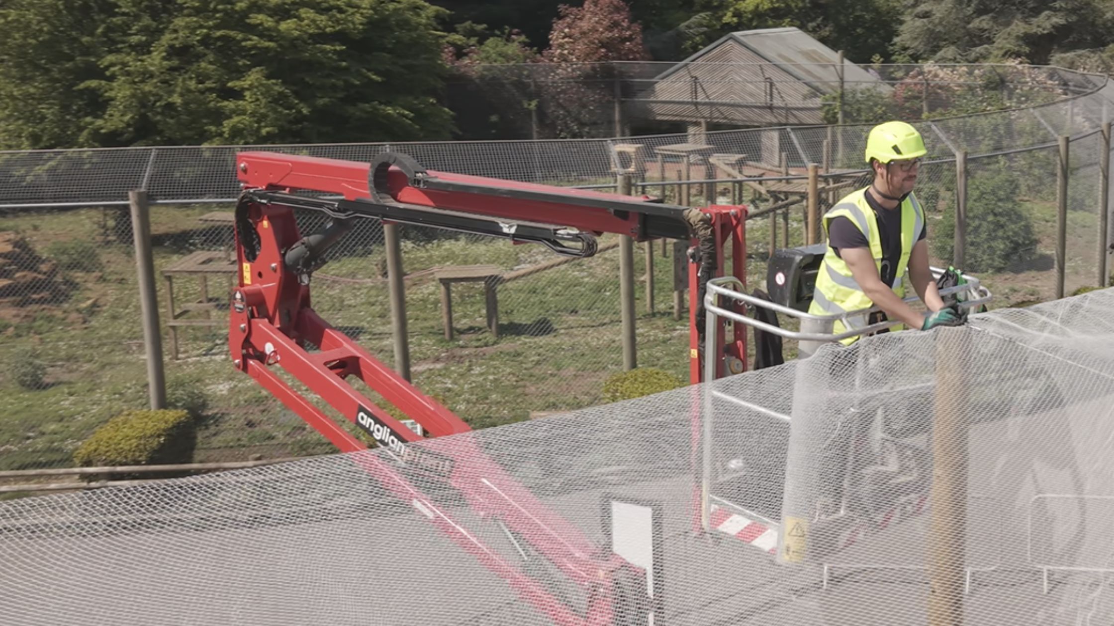 Bird netting installation case study